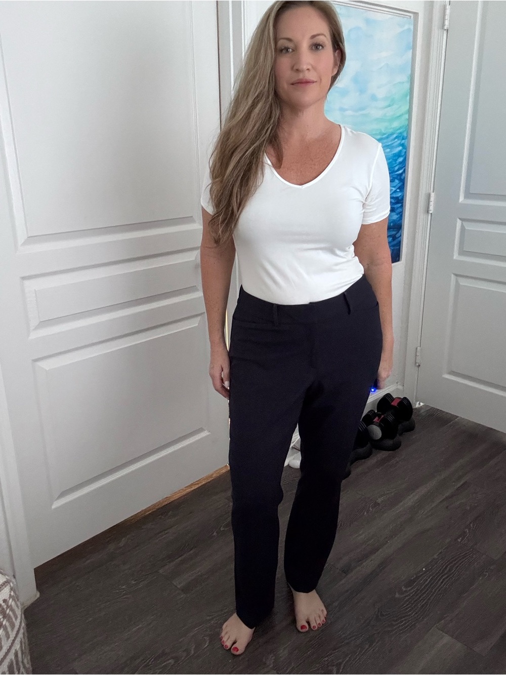 Ann Taylor Factory Straight-Leg Dress Pants in Navy Blue